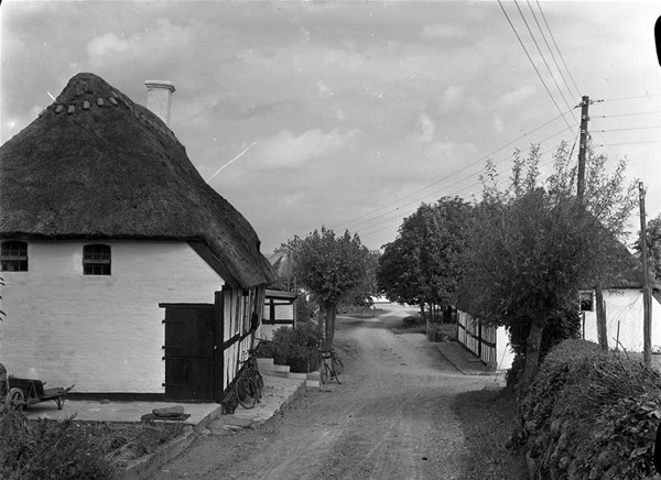 Æske med glasnegativer